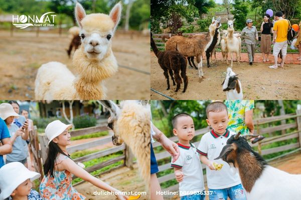 Happy Zoo - Trang trại thú cưng "siêu dễ thương"